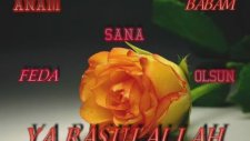 Güller Açmış Ravzasında