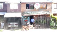 Sahiplerine Taşımada Yardım Eden Köpek
