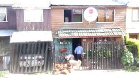 Sahiplerine Taşımada Yardım Eden Köpek