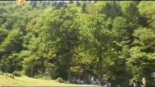Arıcılık - Ana Arı Üretimi