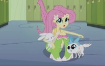 Equestria Girls - Fluttershy İle Tanış