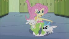 Equestria Girls - Fluttershy İle Tanış