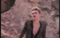 Morrissey -