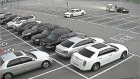 İnsanlık Tarihinin En Aptalca Trafik Kazası