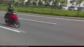 Kaza Yapmaya Programlı Motorcular