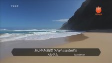 Muhammed Aleyhisselam'ın Ashabı | Sacit Onan