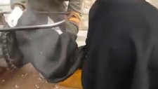 En Akıllı Ev