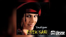 Şuayip Yeltan - Hiç Dönmedim