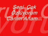 Vahit Öztürk