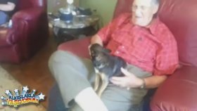 Evde Kurt Dışarda Kuzu Olan Köpek