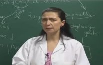 Felsefe Konu Anlatımı - Bilgi Felsefesi