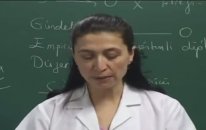 Felsefe Konu Anlatımı - Felsefeye Giriş