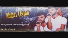 Ahmet Ceylan - Piyasa Bozulmuş (Flex)