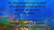 Elmalı Muhammed Hamdi Yazır