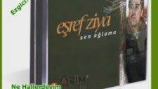 Eşref Ziya Terzi - Ne Hallerdeyim (Sen Ağlama)