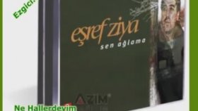 Eşref Ziya Terzi - Ne Hallerdeyim Eşref Ziya Terzi - Ne Hallerdeyim