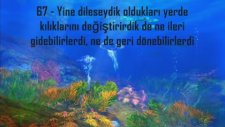Kuranı Kerimin Kalbi Yasini Şerif