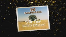 Selim Oğur - Yaprak Dökümü