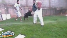 Eğitimcilerini Korkudan Öldüren Köpek
