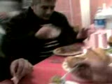 Hayvanlar Yemekte