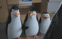 Madagaskar Penguenleri (Penguins of Madagascar) Türkçe Dublajlı Fragman
