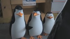 Madagaskar Penguenleri (Penguins of Madagascar) Türkçe Dublajlı Fragman