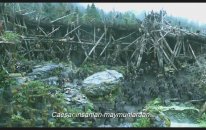 Maymunlar Cehennemi: Şafak Vakti Altyazılı Fragman