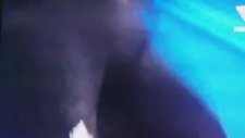 Dünyanın En Güzel Kadın Haltercisi