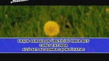 Mastika Tv - Gergedan Boynuzuyla Cinsel İstek Arttırmak