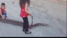 Tasmayla Yılan Dolaştıran Çocuklar