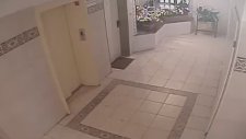 Asansöre Neden Köpekle Binilmemeli