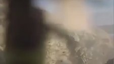 Eşek Arılarını Bombalamak