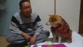 İçki İçmeye İzin Vermeyen Köpek