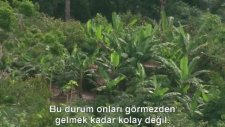 İlk Kez Görüntülenen İlkeller