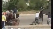 Atın Cinsel Uzvuna Tekme Atmak