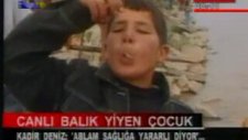 Canlı Balık Yemenin Ulaştığı Son Nokta