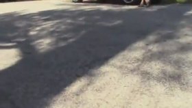 Ferrari mi Yoksa Köpek mi Bayanları Etkiler (Sosyal Deney)