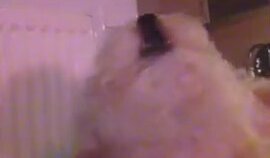 Hüloloğ Denilince Çıldırıp Kurt Gibi Uluyan Köpek