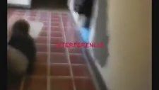 Arjantin'de Kameraya Yakalanan Uzaylı