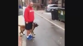 Sahibinin Yakın Korumalığını Yapan Köpek