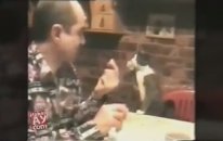 Yemek İsterken Ağzını Gösteren İnanılmaz Kedi