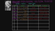 Erikson'un Psikososyal Gelişim Teorileri