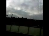 taklacı güvercin pigeon