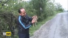 Avcıların Güldüren Domuz Avı