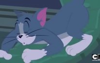 Tom And Jerry Show Cartoon Network