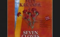 Yedi Karanfil 4 - Şinanari