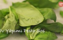 Ev Yapımı Pesto Sosu