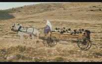 Sermiyan Midyat - Küfür Suratlı (hükümet Kadın)