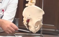 Kuyruk Sokumu Kırıkları ve Ağrıları Nedir? - Op. Dr. Mahmut Gökdağ