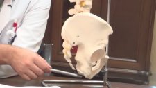 Kuyruk Sokumu Kırıkları ve Ağrıları Nedir? - Op. Dr. Mahmut Gökdağ